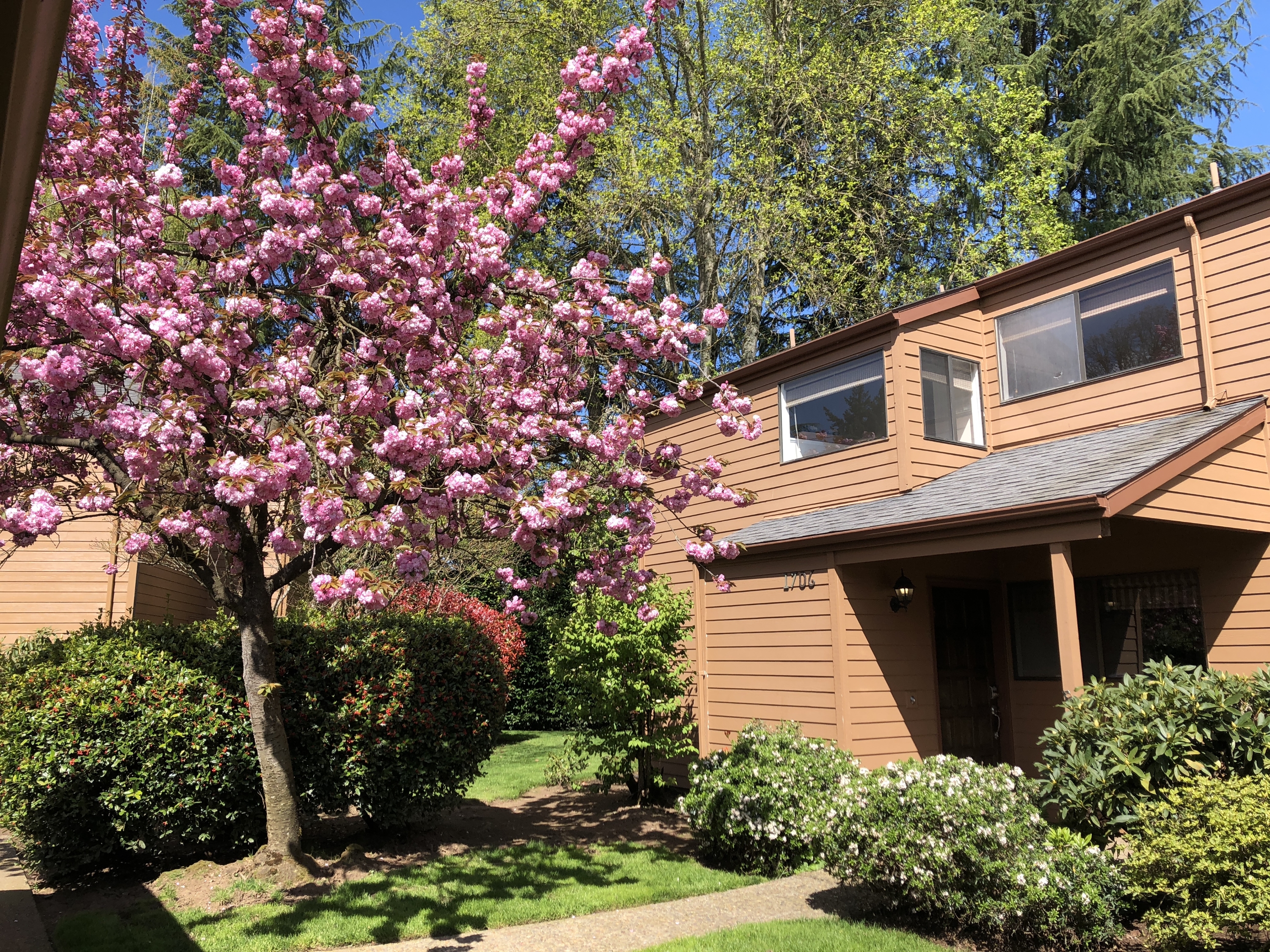 1706 Minda Drive - 1